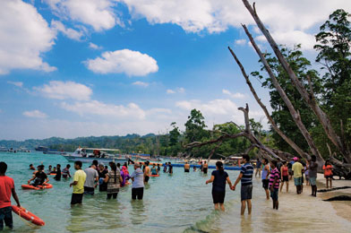 Group Holiday Package